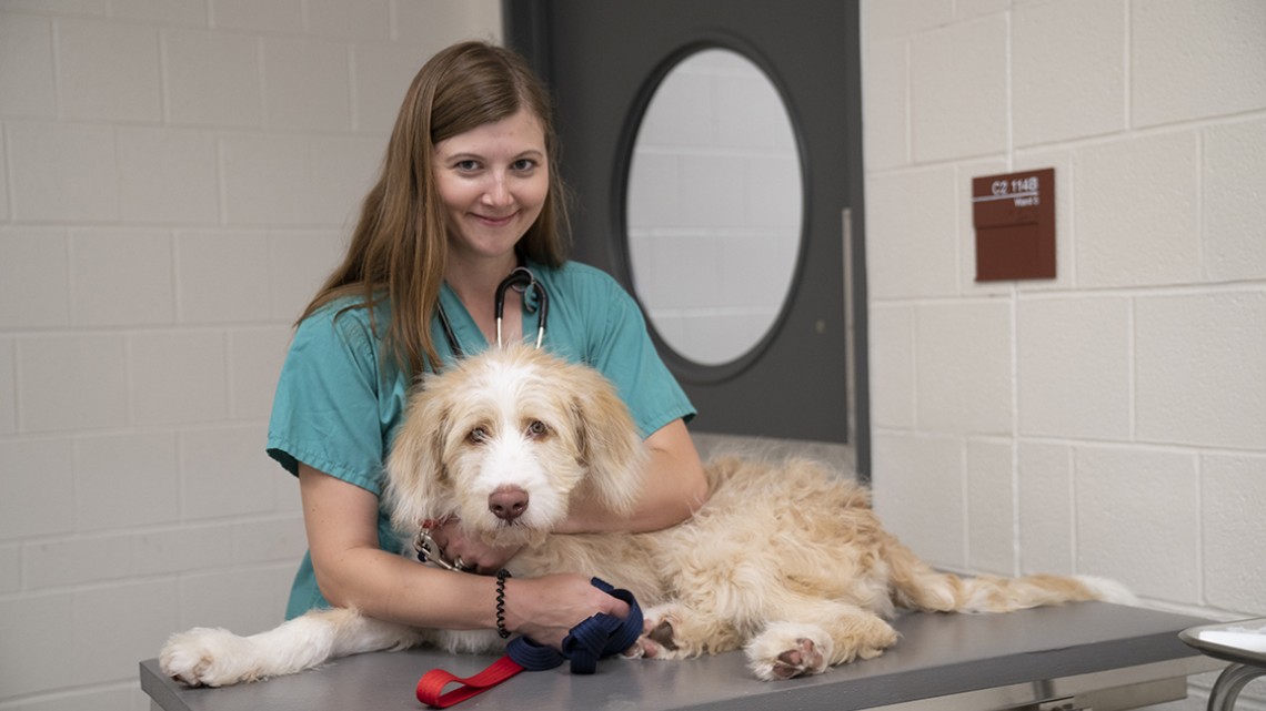 Vet College celebrates veterinary technicians and staff Cornell Chronicle